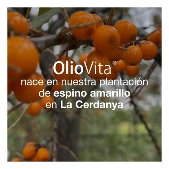 Vitae OlioVita 60 caps