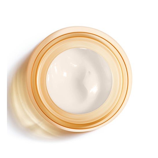 Vichy Neovadiol Magistral Bálsamo Nutritivo Antiflacidez de Día 50 ml