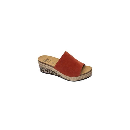 Scholl Mule Cuña Rust Malaga 36 1 Par