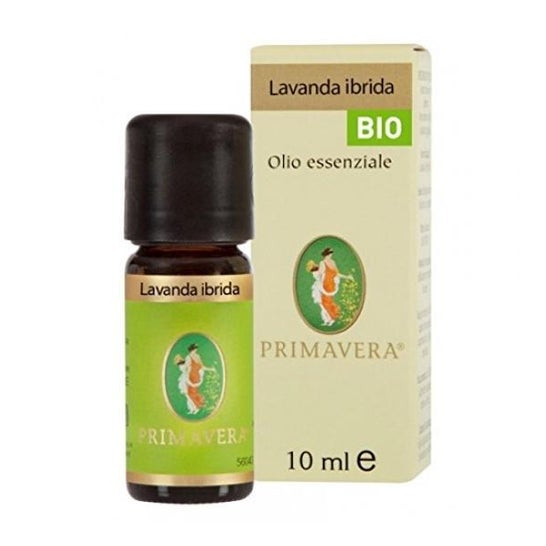 Lavender Bio Ess Oil 10Ml
