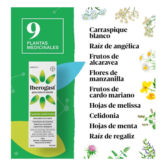 Iberogast Gotas 50 ml