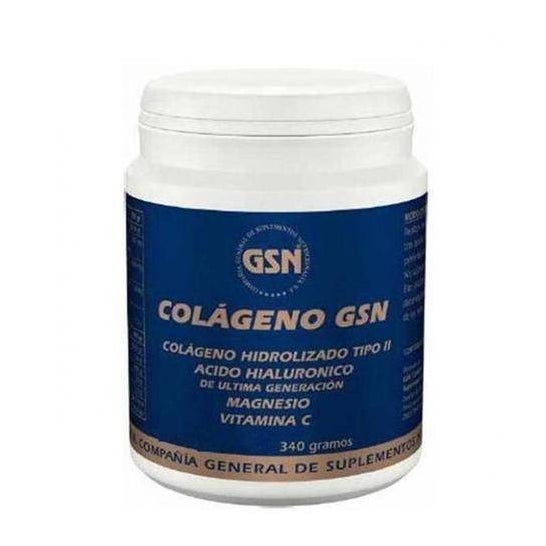 GSN Colageno Acido Hialuronico Naranja Polvo 340g