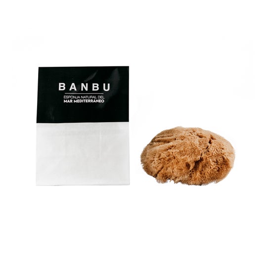 Banbu Facial Sponge 1pc