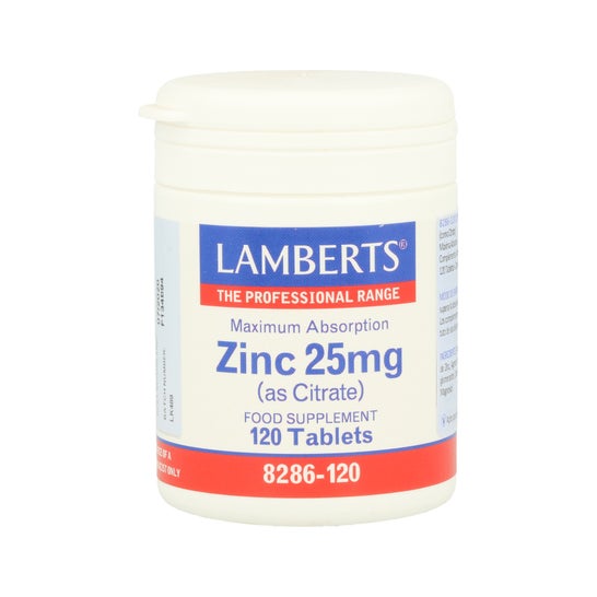 Lamberts Zinc 25mg 120comp