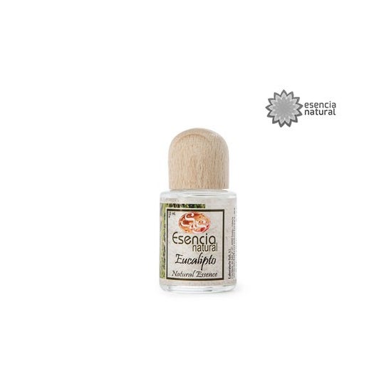 Esencia Natural Eucalipto 12 ml