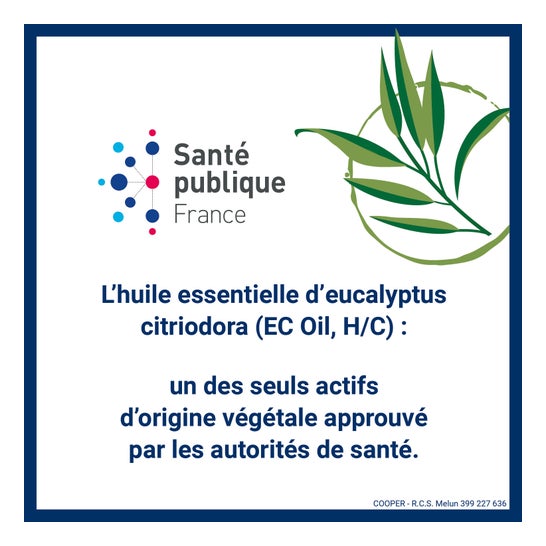 Insect Ecran Actif Brume Anti-Moustiques 100ml