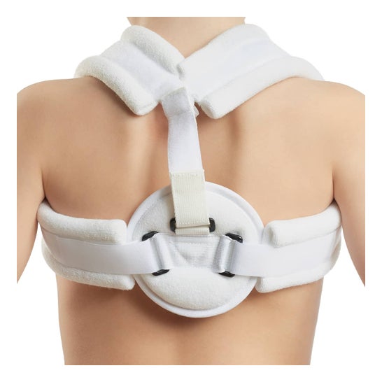 Orliman Anillo clavicular T2/enf