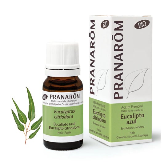 Pranarôm essential oil of blue eucalyptus ORGANIC 10ml