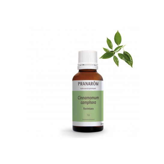 Spray Assainissant Ravintsara & Tea Tree + Eucalyptus - Pranarom
