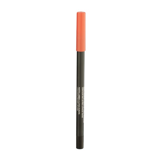 L'Oreal Infaillible Lip Liner N201 1 stk