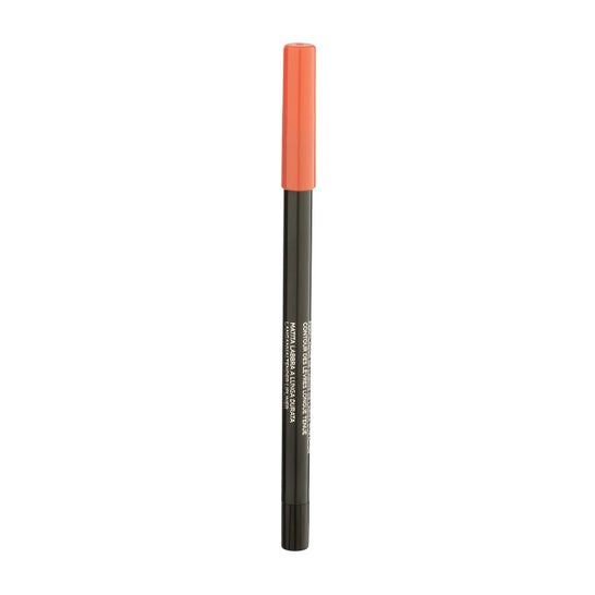 L'Oreal Infaillible Lip Liner N201 1St