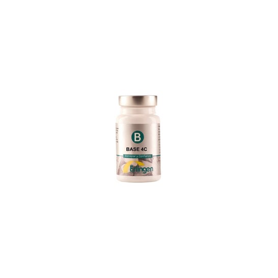 Erlingen Base 4C 60 Tabletten