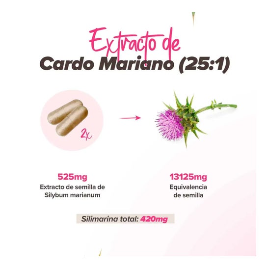 HSN Berberina 175mg y Cardo Mariano Silimarina 210mg Complex 120vcaps
