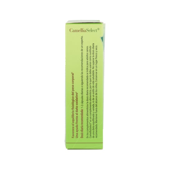 100% Natural Camellia Select Antioxidante 60 caps