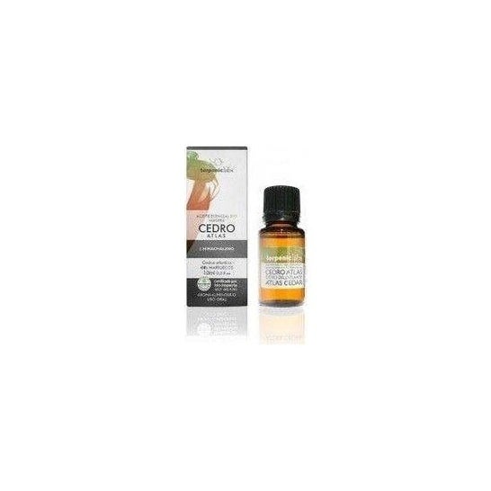 Cedar Atlas Bio 10ml Essential Oil