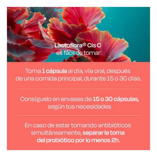 Lactoflora Cis-C Probiótico Bienestar Urinario 15 caps