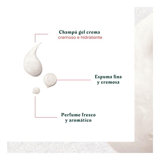 René Furterer Neopur Champú Equilibrante Anticaspa Caspa Seca 150 ml