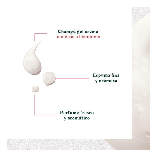 René Furterer Neopur Champú Equilibrante Anticaspa Caspa Seca 150 ml