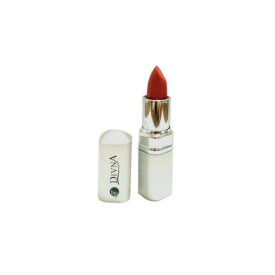 Divna Barra de Labios Nº10