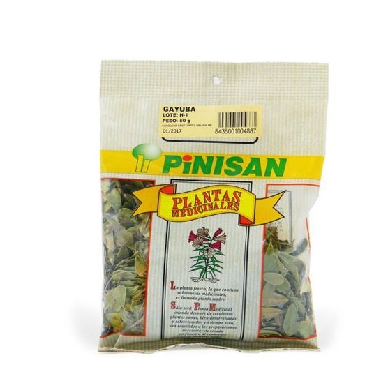 Pinisan Bearberry Leaf 50g