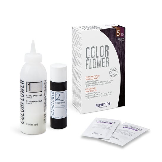 Kit di fiori colorati Prugna 5,7