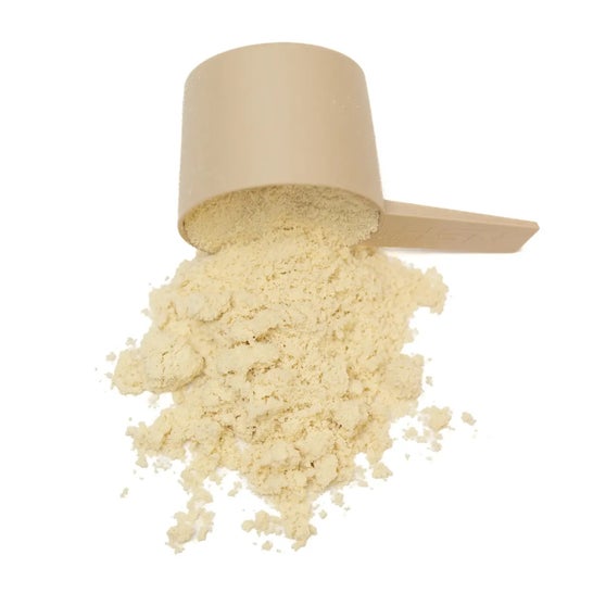 HSN Evowhey Protein Sin Edulcorantes Té Chai con Leche 500 g