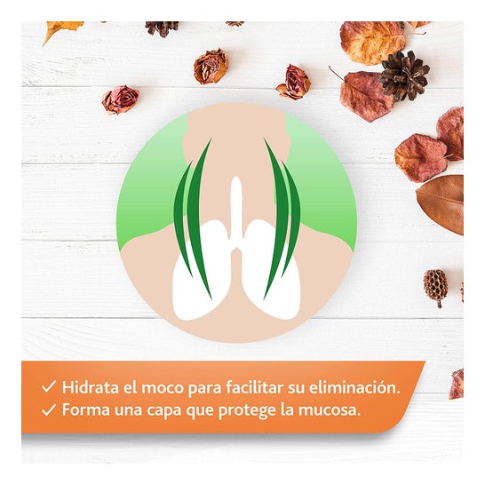 Bisolherbal  2 en 1 180g