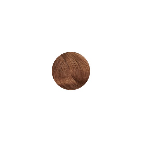 Loreal Majirel 6 50ml