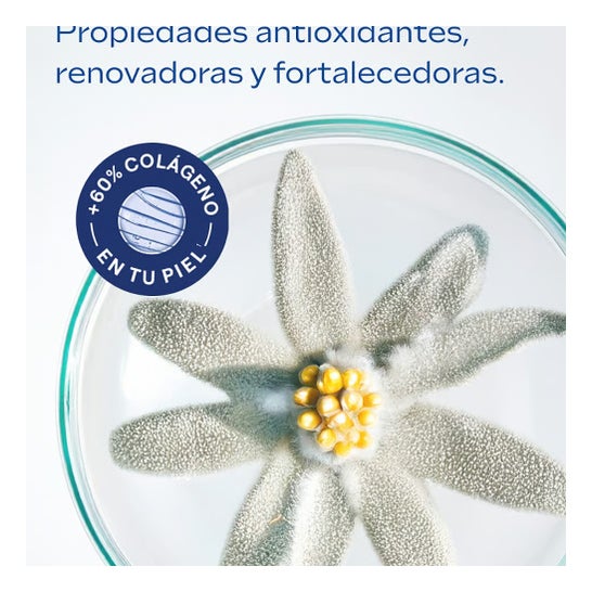 Weleda Crema de Día Redensificante de Genciana Azul y Edelweiss 40 ml