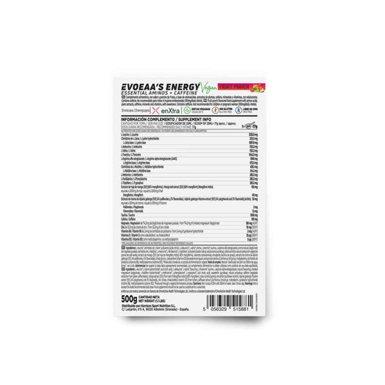 HSN Evoeaa's Energy Ponche de Frutas 500 g
