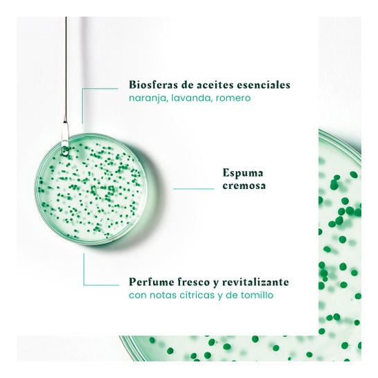 René Furterer Forticea Champú Fortalecedor y Revitalizante 200ml