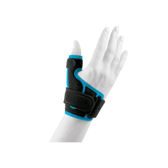 Orliman Actius Polsino Semirrigida Rhizo Immotec ACE507 T2 1 Unità