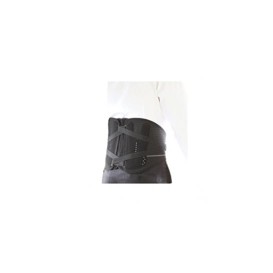 Gibaud C/ Lombo Evol Nero H26 T4 Gibaud C/ Lombo Evol Nero H26 T4