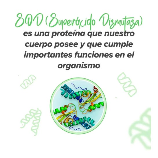 HSN SOD Superóxido Dismutasa Tetrasod® 25mg 60vcaps