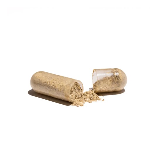 HSN Evovits Multivitamínico 120vcaps