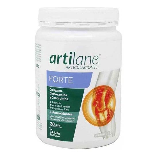 Artilane Forte Powder 220 G