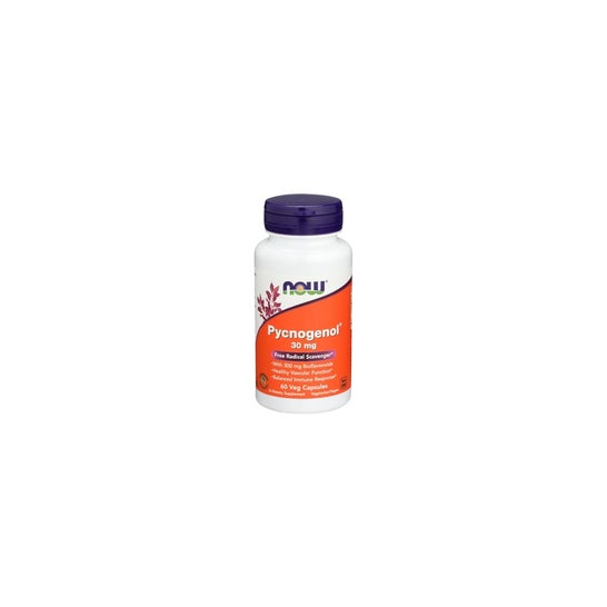 Now Pycnogenol 30mg 60caps