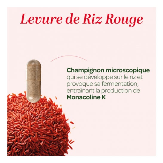 Superdiet Levadura Roja de Arroz 45caps Superdiet Levadura Roja de Arroz 45caps