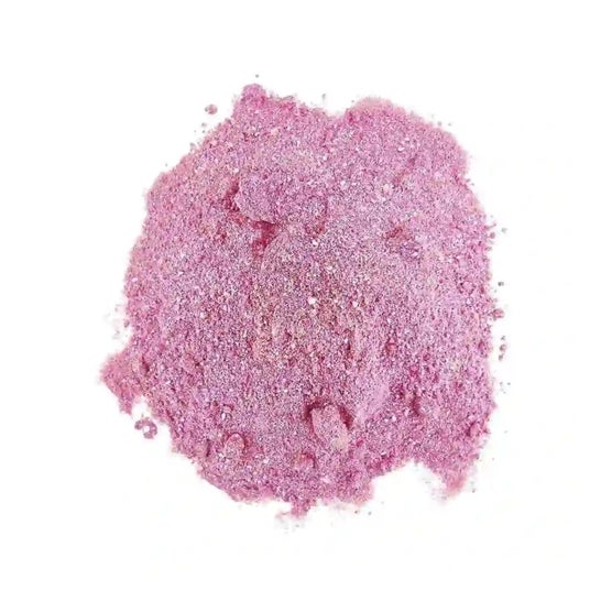 HSN Evopump en Polvo Grosella Negra 500g