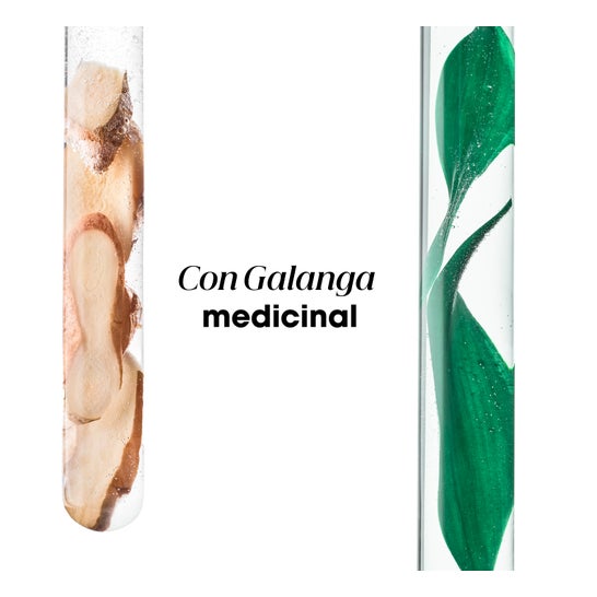 Klorane Champú a la Galanga Anticaspa Cuero Cabelludo 400 ml