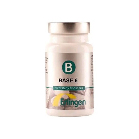 Erlingen Basis 6 60 Cpr
