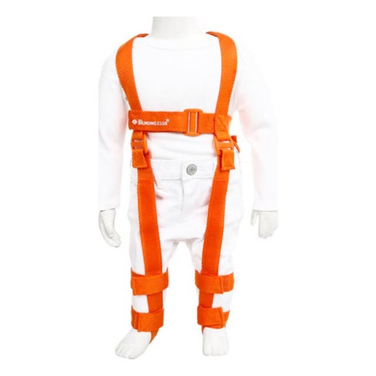 Pavlik Dys/Hanch48/59 Harness 3