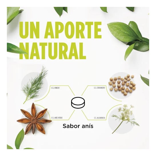 Eladiet Digest Aciflux Protect 30caps Eladiet Digest Aciflux Protect 30caps