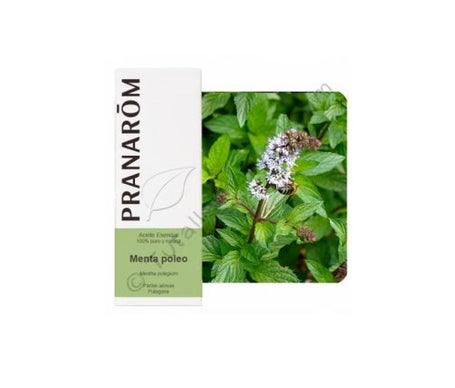 Menta Poleo 10ml Aceite Esencial