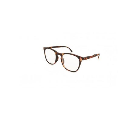 Nordic Vision Gafas de Lectura Folding Havana 0.00 1ud