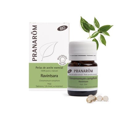 Pranarôm Perlas de Aceite Esencial de Ravintsara BIO 60caps