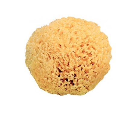 Saro Esponja Natural +0m