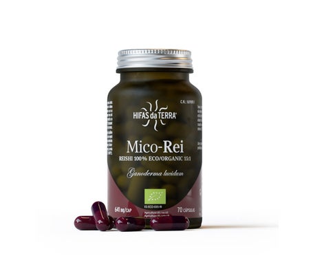 Hifas Da Terra Antioxidante Mico Rei 640mg 70caps