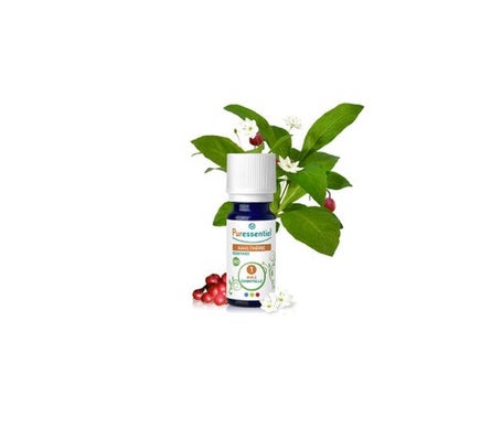 Puressentiel Aceite Esencial Gaulteria BIO 10ml