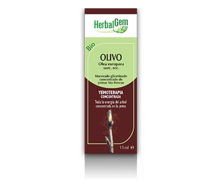 Herbalgem Olivo Bio 50ml | Natural Doctor